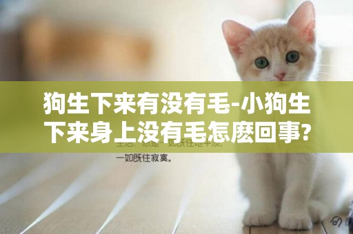 狗生下來有沒有毛-小狗生下來身上沒有毛怎麼回事?
