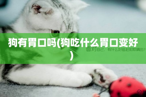 狗有胃口嗎(狗吃什么胃口變好) 