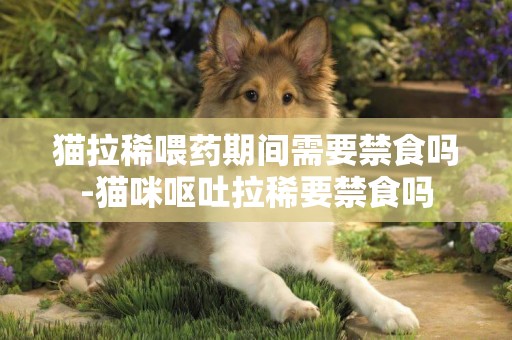貓拉稀喂藥期間需要禁食嗎-貓咪嘔吐拉稀要禁食嗎