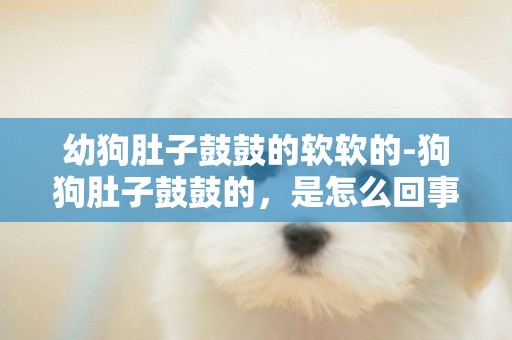 幼狗肚子鼓鼓的軟軟的-狗狗肚子鼓鼓的，是怎么回事