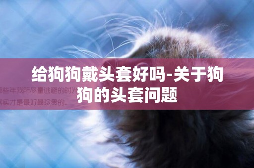 給狗狗戴頭套好嗎-關于狗狗的頭套問題