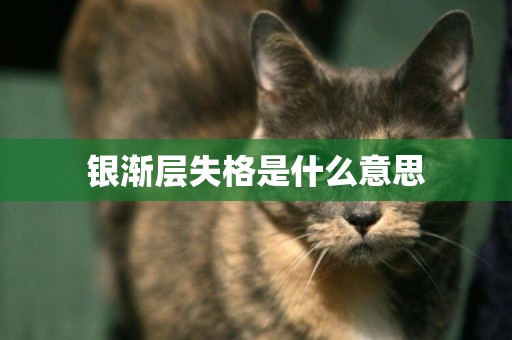 銀漸層失格是什么意思