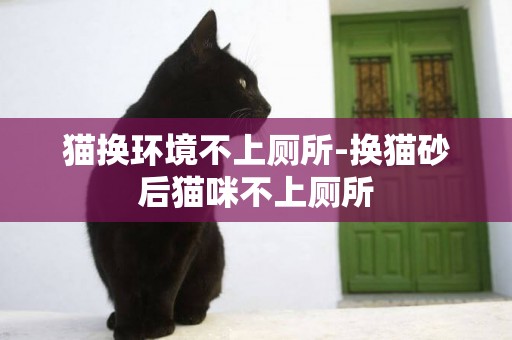 貓換環境不上廁所-換貓砂后貓咪不上廁所