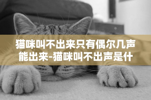 貓咪叫不出來只有偶爾幾聲能出來-貓咪叫不出聲是什么原因？
