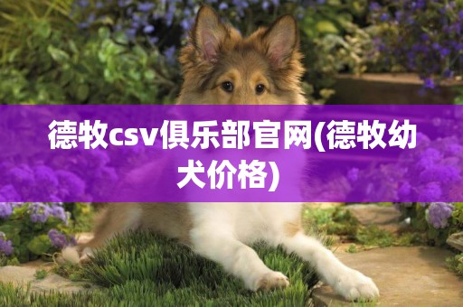 德牧csv俱樂部官網(德牧幼犬價格) 