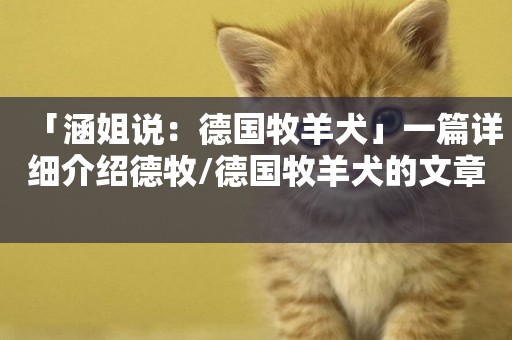 「涵姐說：德國牧羊犬」一篇詳細介紹德牧/德國牧羊犬的文章 