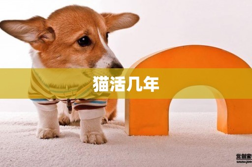 貓活幾年