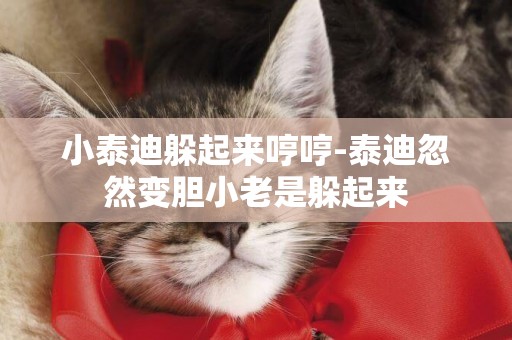 小泰迪躲起來哼哼-泰迪忽然變膽小老是躲起來