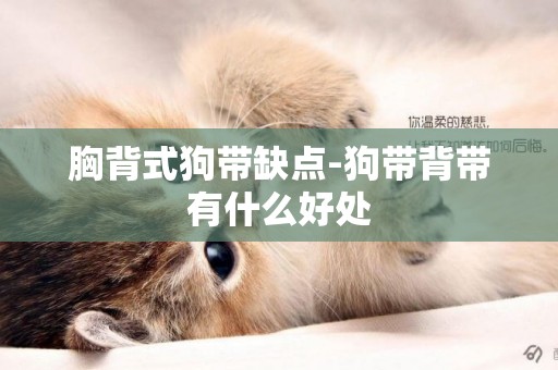 胸背式狗帶缺點-狗帶背帶有什么好處