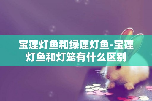 寶蓮燈魚和綠蓮燈魚-寶蓮燈魚和燈籠有什么區別