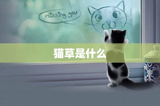 貓草是什么