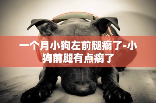 一個月小狗左前腿瘸了-小狗前腿有點瘸了
