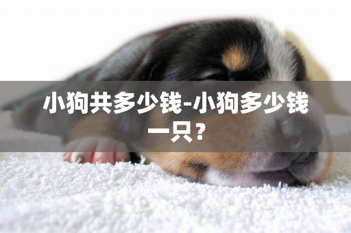 小狗共多少錢-小狗多少錢一只？