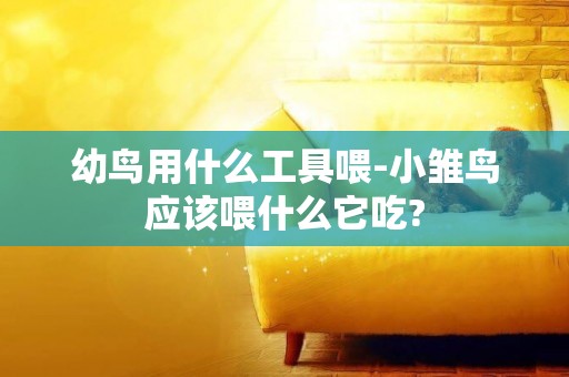 幼鳥用什么工具喂-小雛鳥應該喂什么它吃?