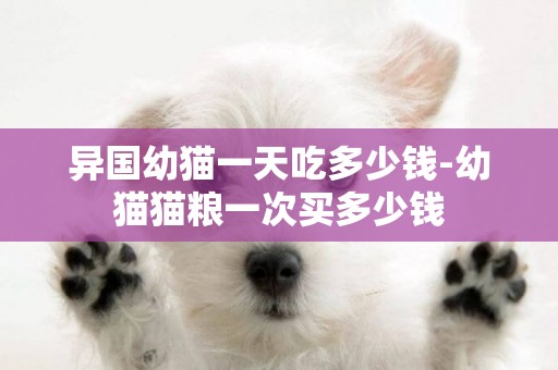 異國幼貓一天吃多少錢-幼貓貓糧一次買多少錢