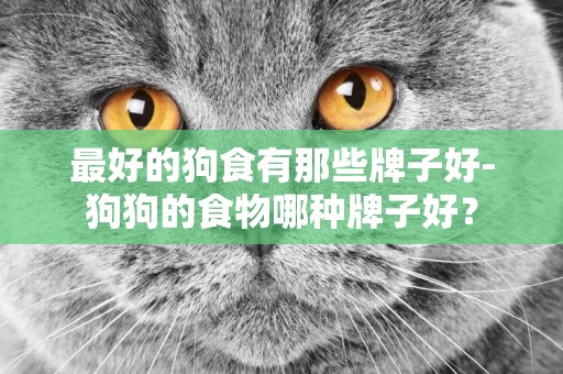最好的狗食有那些牌子好-狗狗的食物哪種牌子好？