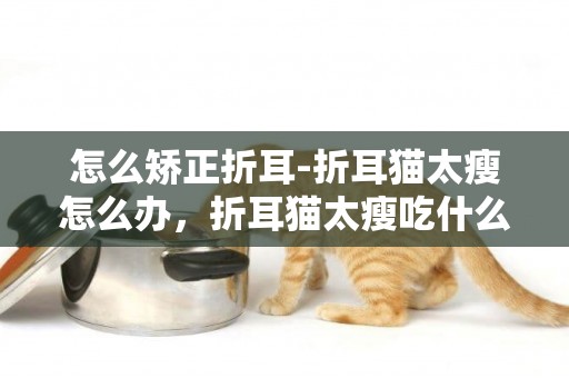 怎么矯正折耳-折耳貓太瘦怎么辦，折耳貓太瘦吃什么可以胖