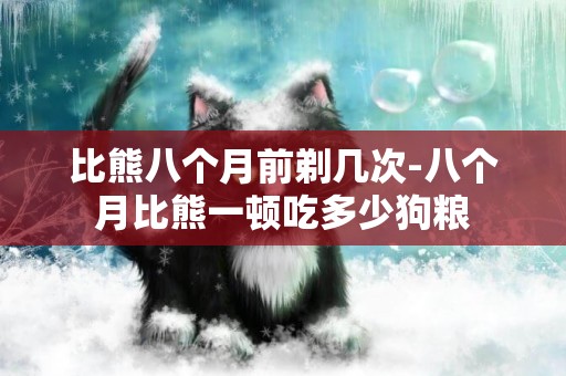比熊八個月前剃幾次-八個月比熊一頓吃多少狗糧