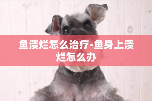 魚潰爛怎么治療-魚身上潰爛怎么辦