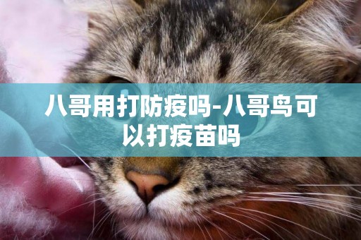 八哥用打防疫嗎-八哥鳥可以打疫苗嗎