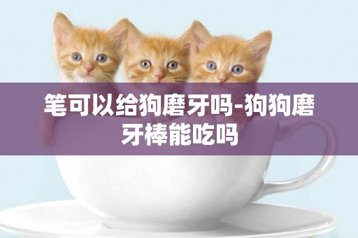 筆可以給狗磨牙嗎-狗狗磨牙棒能吃嗎