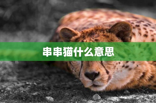 串串貓什么意思