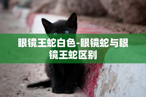 眼鏡王蛇白色-眼鏡蛇與眼鏡王蛇區別