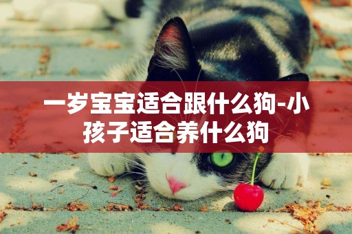 一歲寶寶適合跟什么狗-小孩子適合養什么狗