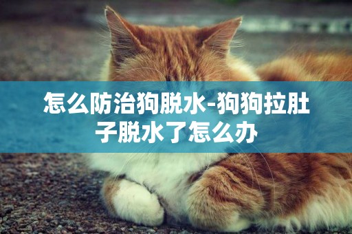 怎么防治狗脫水-狗狗拉肚子脫水了怎么辦