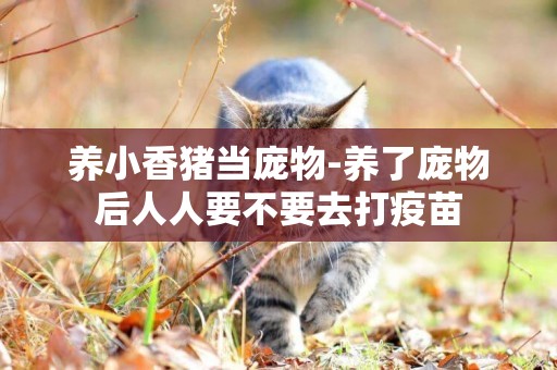 養小香豬當龐物-養了龐物后人人要不要去打疫苗