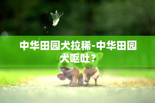 中華田園犬拉稀-中華田園犬嘔吐？