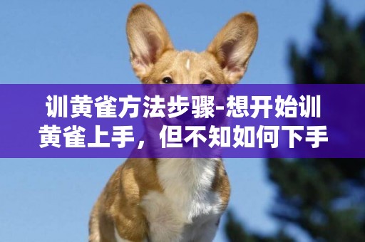訓黃雀方法步驟-想開始訓黃雀上手，但不知如何下手