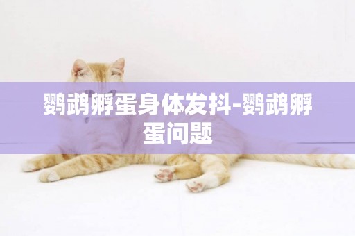 鸚鵡孵蛋身體發抖-鸚鵡孵蛋問題