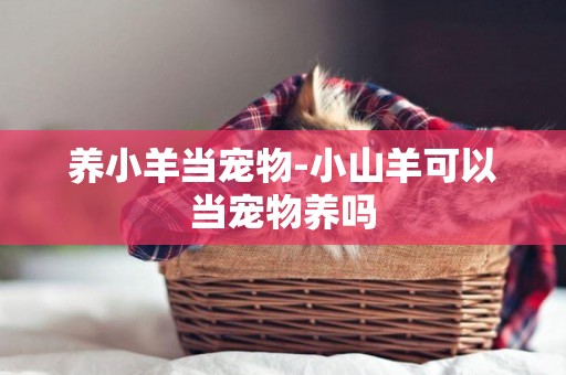 養小羊當寵物-小山羊可以當寵物養嗎