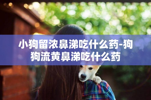 小狗留濃鼻涕吃什么藥-狗狗流黃鼻涕吃什么藥