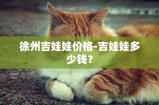 徐州吉娃娃價格-吉娃娃多少錢？