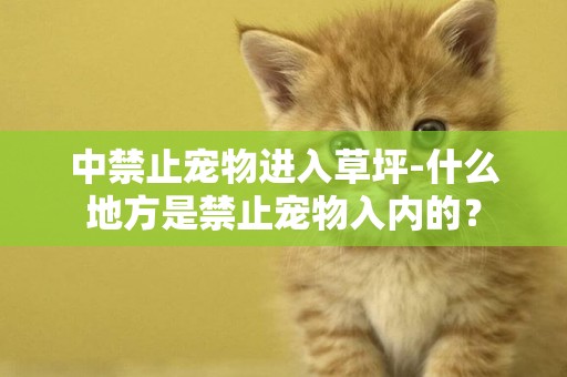 中禁止寵物進入草坪-什么地方是禁止寵物入內的？