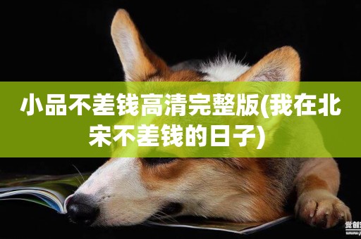 小品不差錢高清完整版(我在北宋不差錢的日子) 