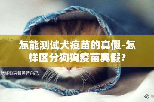 怎能測試犬疫苗的真假-怎樣區分狗狗疫苗真假？