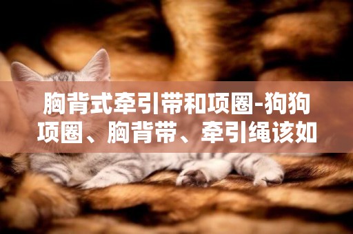 胸背式牽引帶和項圈-狗狗項圈、胸背帶、牽引繩該如何選擇？