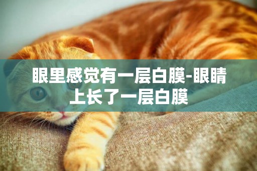 眼里感覺有一層白膜-眼睛上長了一層白膜