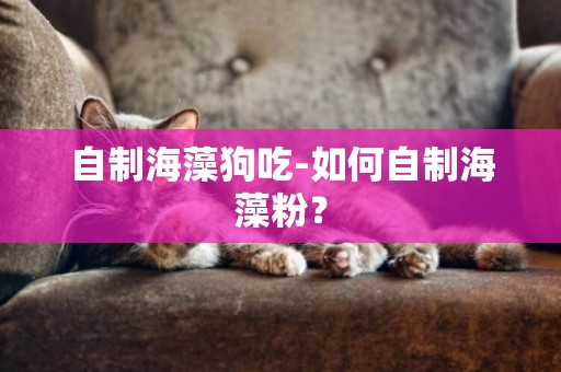 自制海藻狗吃-如何自制海藻粉？