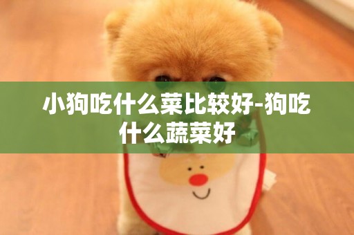 小狗吃什么菜比較好-狗吃什么蔬菜好