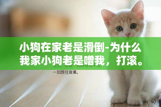 小狗在家老是滑倒-為什么我家小狗老是噌我，打滾。