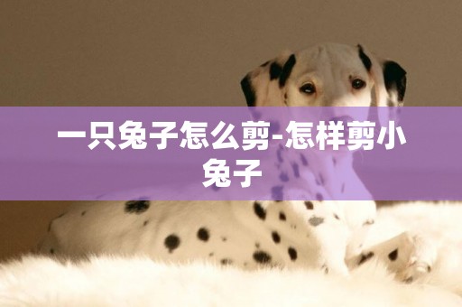 一只兔子怎么剪-怎樣剪小兔子
