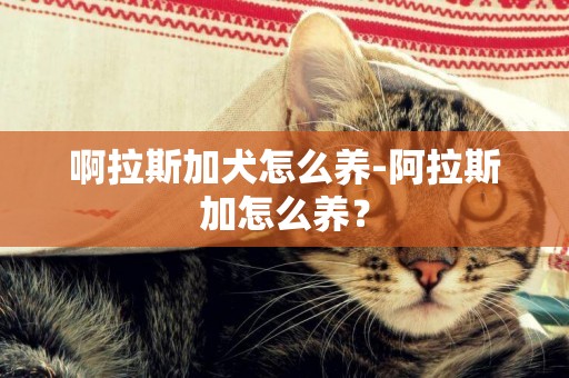 啊拉斯加犬怎么養-阿拉斯加怎么養？