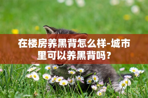 在樓房養黑背怎么樣-城市里可以養黑背嗎？