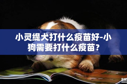 小靈緹犬打什么疫苗好-小狗需要打什么疫苗？