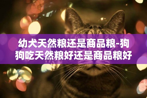 幼犬天然糧還是商品糧-狗狗吃天然糧好還是商品糧好？