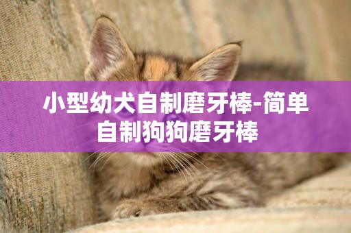 小型幼犬自制磨牙棒-簡單自制狗狗磨牙棒